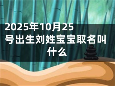 2025年10月25号出生刘姓宝宝取名叫什么