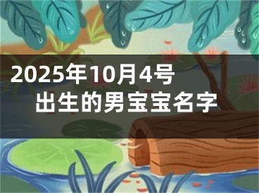 2025年10月4号出生的男宝宝名字