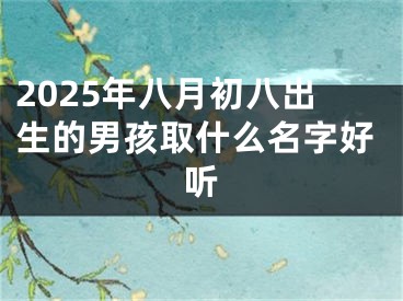 2025年八月初八出生的男孩取什么名字好听