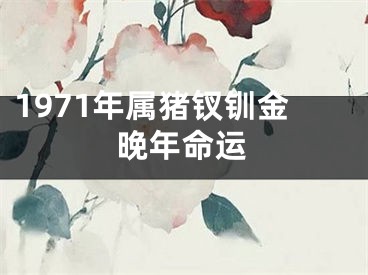 1971年属猪钗钏金晚年命运