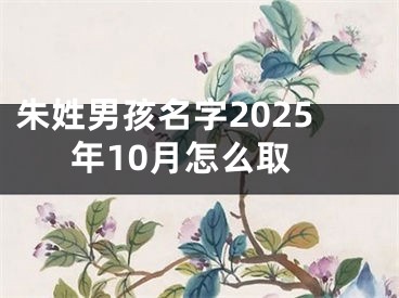 朱姓男孩名字2025年10月怎么取