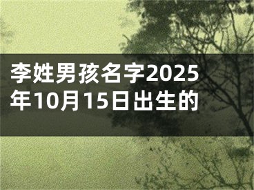 李姓男孩名字2025年10月15日出生的