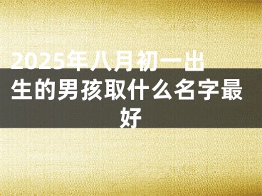 2025年八月初一出生的男孩取什么名字最好