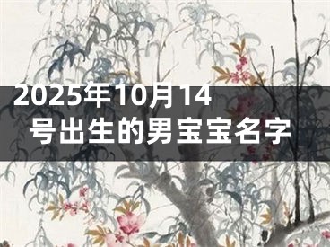 2025年10月14号出生的男宝宝名字