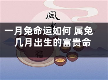 一月兔命运如何 属兔几月出生的富贵命