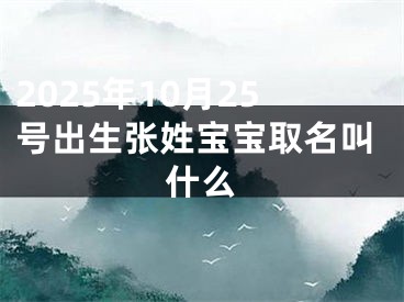 2025年10月25号出生张姓宝宝取名叫什么