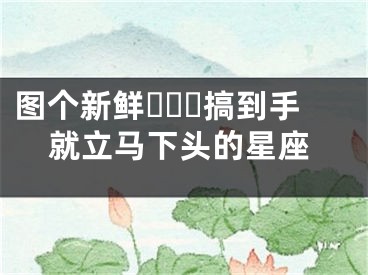 图个新鲜​​​搞到手就立马下头的星座