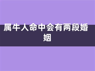 属牛人命中会有两段婚姻