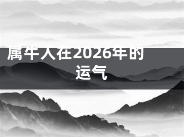 属牛人在2026年的运气