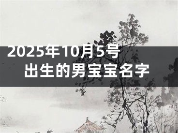 2025年10月5号出生的男宝宝名字