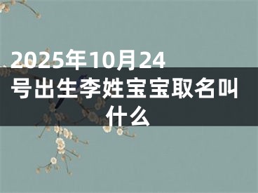 2025年10月24号出生李姓宝宝取名叫什么