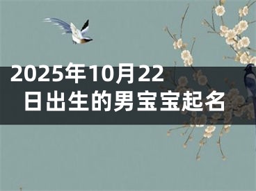 2025年10月22日出生的男宝宝起名