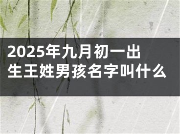 2025年九月初一出生王姓男孩名字叫什么