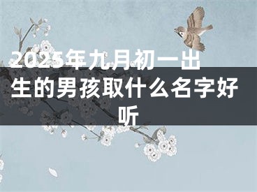 2025年九月初一出生的男孩取什么名字好听
