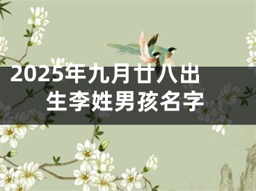 2025年九月廿八出生李姓男孩名字