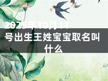 2025年10月11号出生王姓宝宝取名叫什么