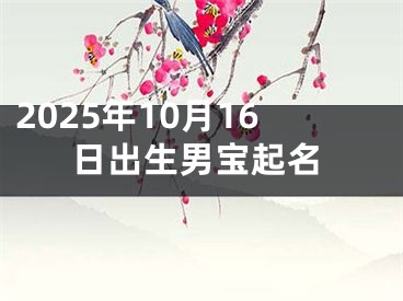 2025年10月16日出生男宝起名