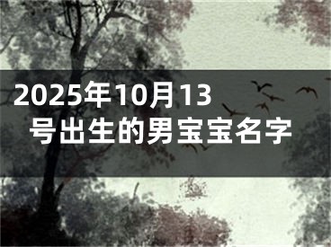 2025年10月13号出生的男宝宝名字