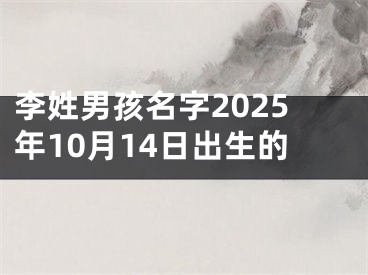 李姓男孩名字2025年10月14日出生的
