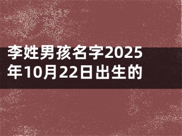 李姓男孩名字2025年10月22日出生的