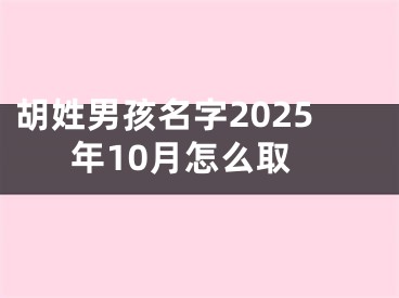 胡姓男孩名字2025年10月怎么取