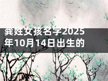 龚姓女孩名字2025年10月14日出生的