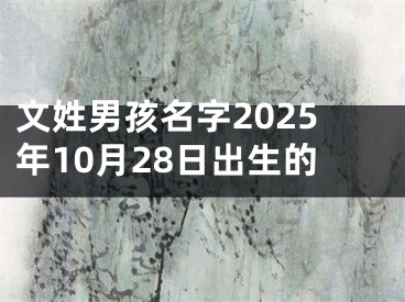 文姓男孩名字2025年10月28日出生的