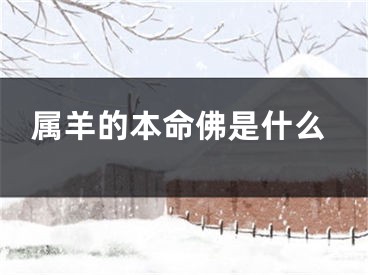 属羊的本命佛是什么