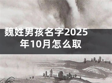 魏姓男孩名字2025年10月怎么取
