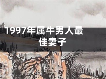 1997年属牛男人最佳妻子