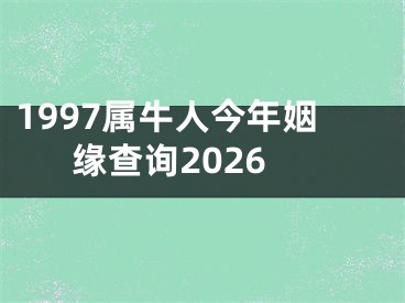 1997属牛人今年姻缘查询2026