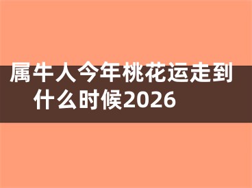 属牛人今年桃花运走到什么时候2026