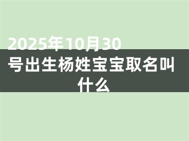 2025年10月30号出生杨姓宝宝取名叫什么