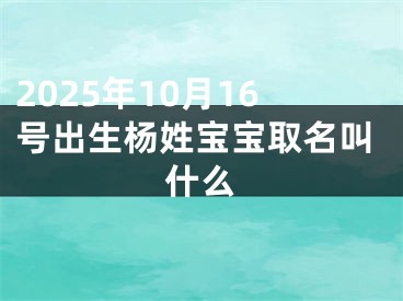 2025年10月16号出生杨姓宝宝取名叫什么