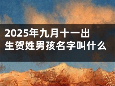 2025年九月十一出生贺姓男孩名字叫什么