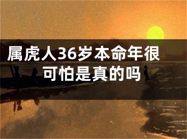 属虎人36岁本命年很可怕是真的吗