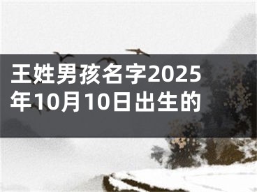王姓男孩名字2025年10月10日出生的