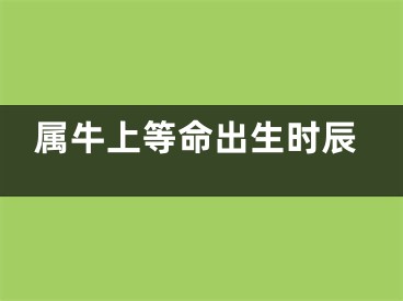 属牛上等命出生时辰