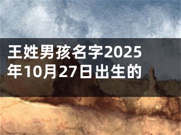 王姓男孩名字2025年10月27日出生的