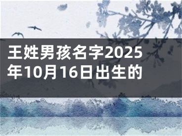 王姓男孩名字2025年10月16日出生的