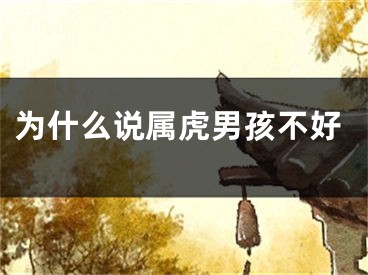 为什么说属虎男孩不好