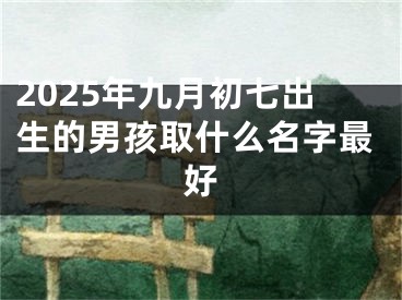 2025年九月初七出生的男孩取什么名字最好