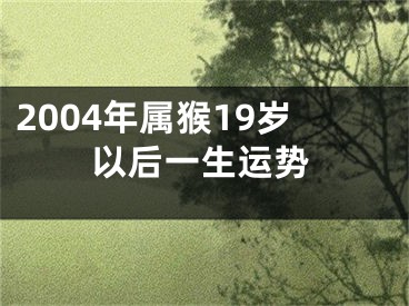 2004年属猴19岁以后一生运势