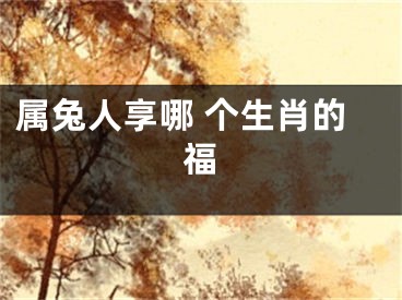 属兔人享哪 个生肖的福