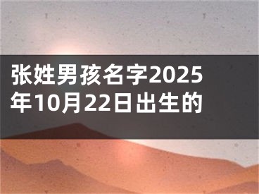 张姓男孩名字2025年10月22日出生的