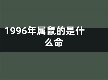 1996年属鼠的是什么命