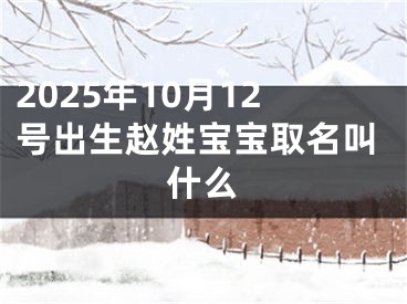 2025年10月12号出生赵姓宝宝取名叫什么