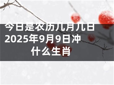 今日是农历几月几日 2025年9月9日冲什么生肖 