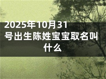 2025年10月31号出生陈姓宝宝取名叫什么
