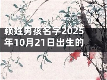 赖姓男孩名字2025年10月21日出生的